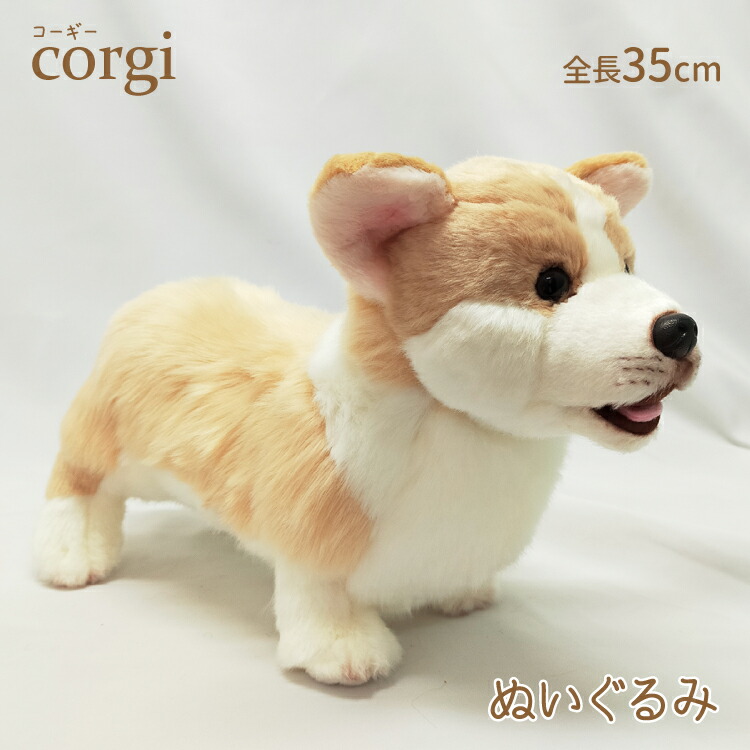 楽天市場】【コーギー 立ち ぬいぐるみ】 犬 おもちゃ 茶 白 雑貨