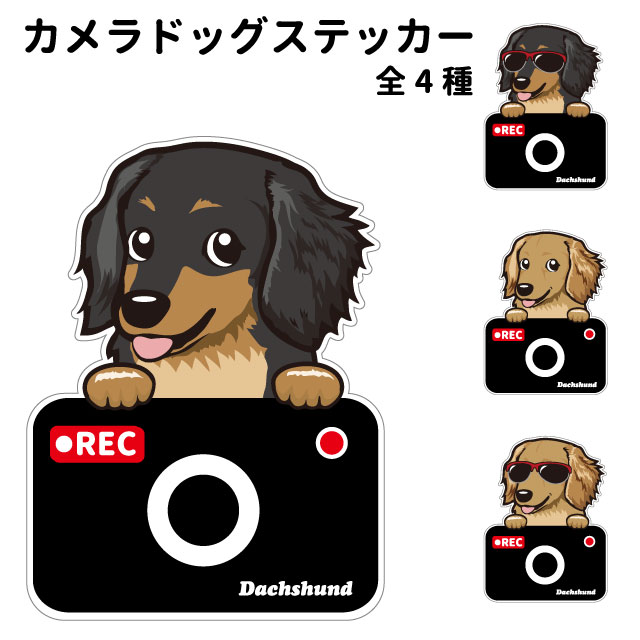 楽天市場】【 ミニチュアダックス カメラ ドッグ ステッカー 切り抜き