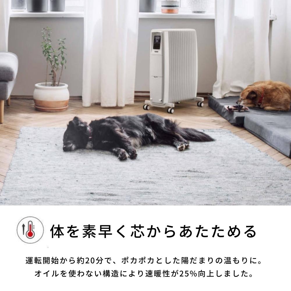 楽天市場】【2025 年間ベストショップ受賞】Dimplex オイルフリー