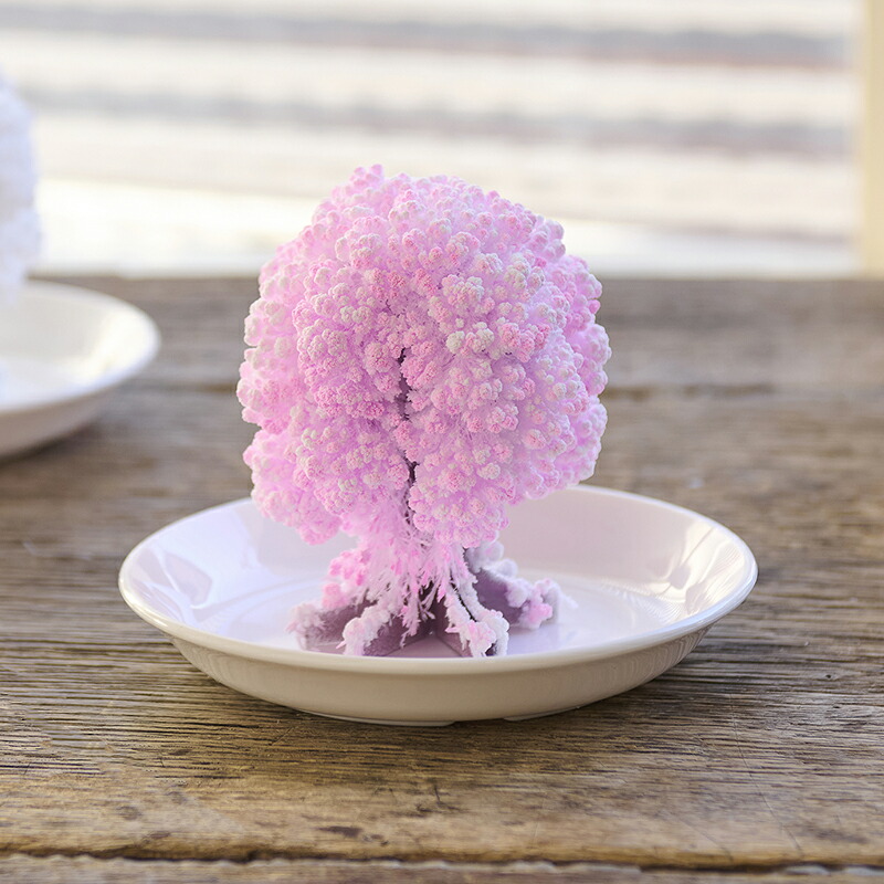 楽天市場】クーポン発行中 動画あり 桜の都 オブジェ 置物 さくら 桜