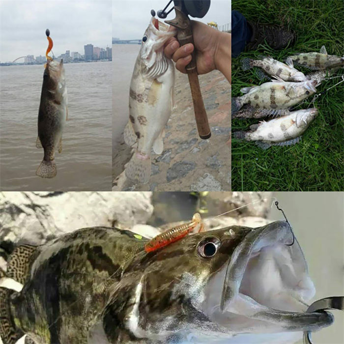 楽天市場】釣り ワームセット ワーム ソフトルアー セット ロック