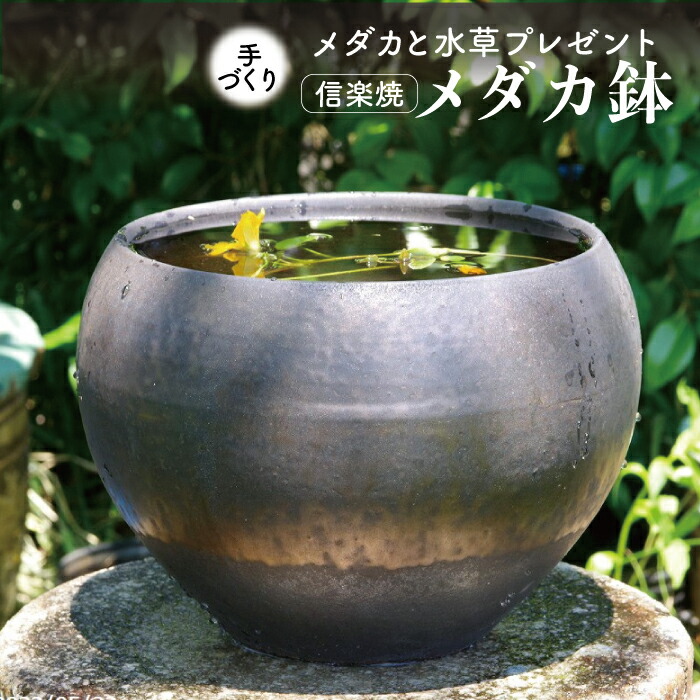 激レア 陶器 水鉢 水槽 亀 メダカ 庭 ガーデニング Y 激レア 陶器 水鉢