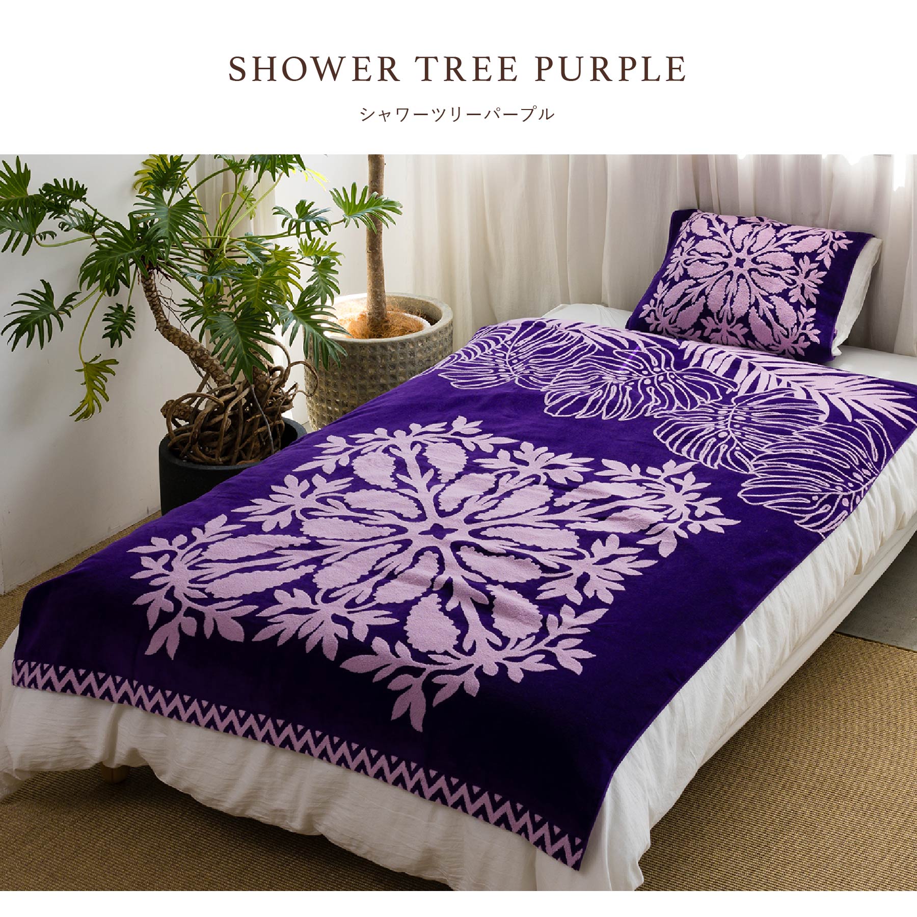 楽天市場】【 キャシーマム 】 タオルケット シングル 140cm×190cm