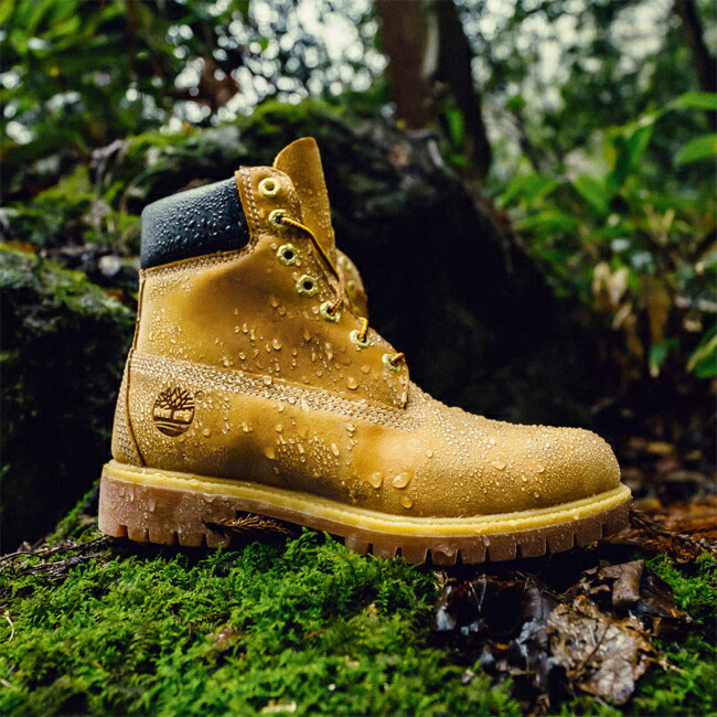 楽天市場】【☆残り1日！最大1,000円クーポン発行中