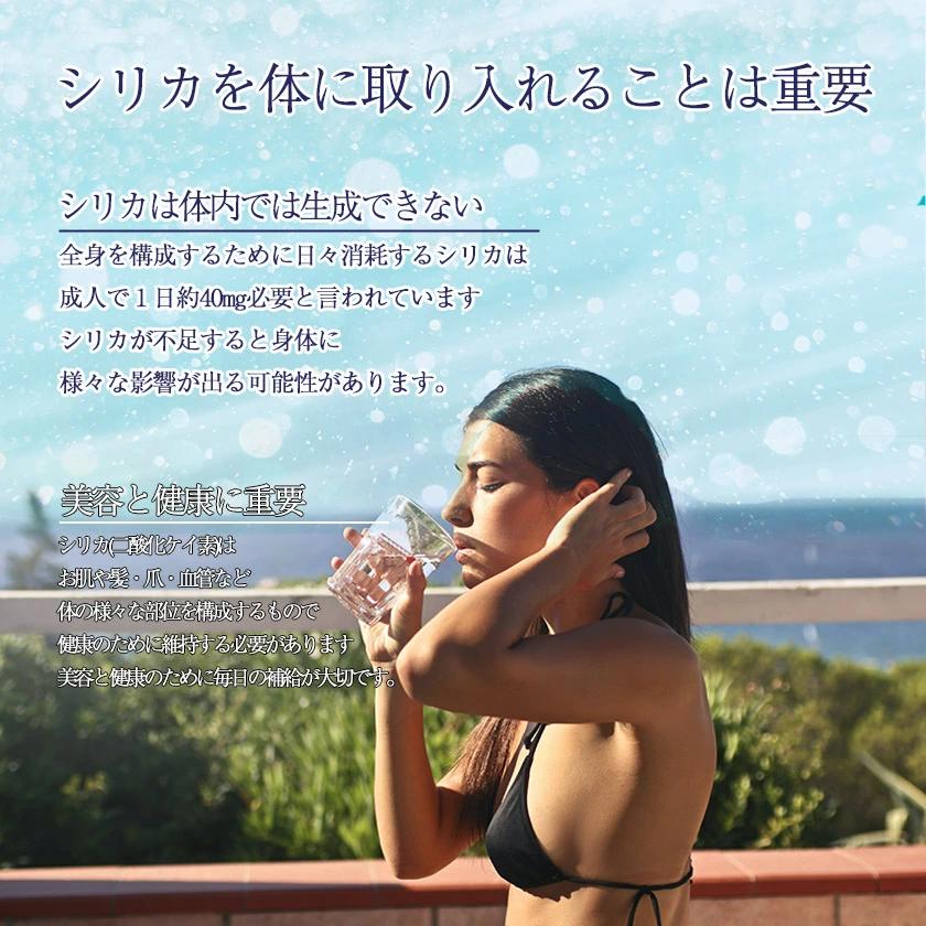 楽天市場】水素水 スティック シリカ 高濃度水素水 珪素 ケイ素水 水素