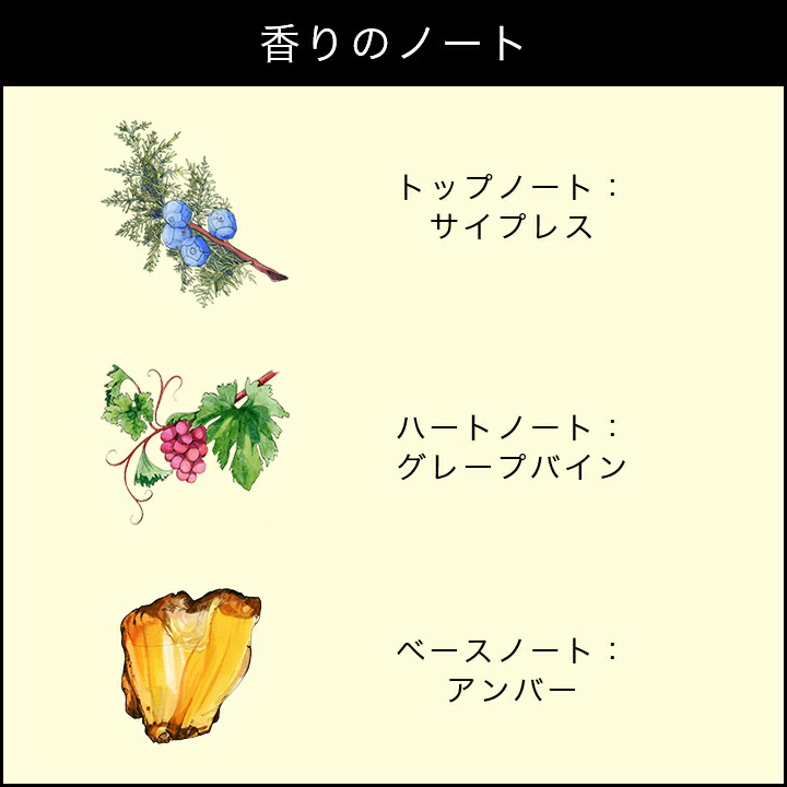 楽天市場】公式｜ジョー マローン ロンドン サイプレス