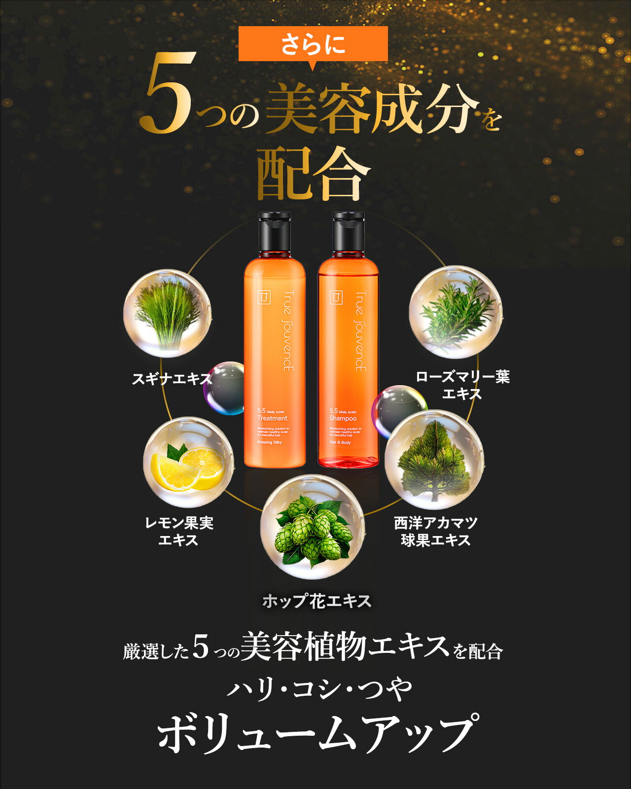 楽天市場】【サロン専売】弱酸性 pH5.5 シャンプー トリートメント