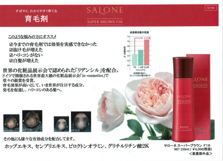 楽天市場】☆サローネスーパーブラウンF16 とにかく浸透がすごい