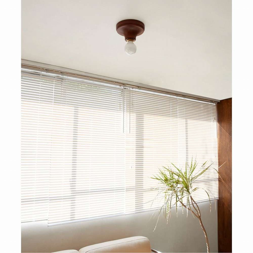 楽天市場】ACME Furniture アクメファニチャー IRVIN CEILING LAMP