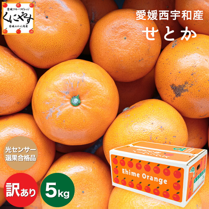 楽天市場】3/4 20:00～再販スタート！☆究極の柑橘！みかんの大トロ