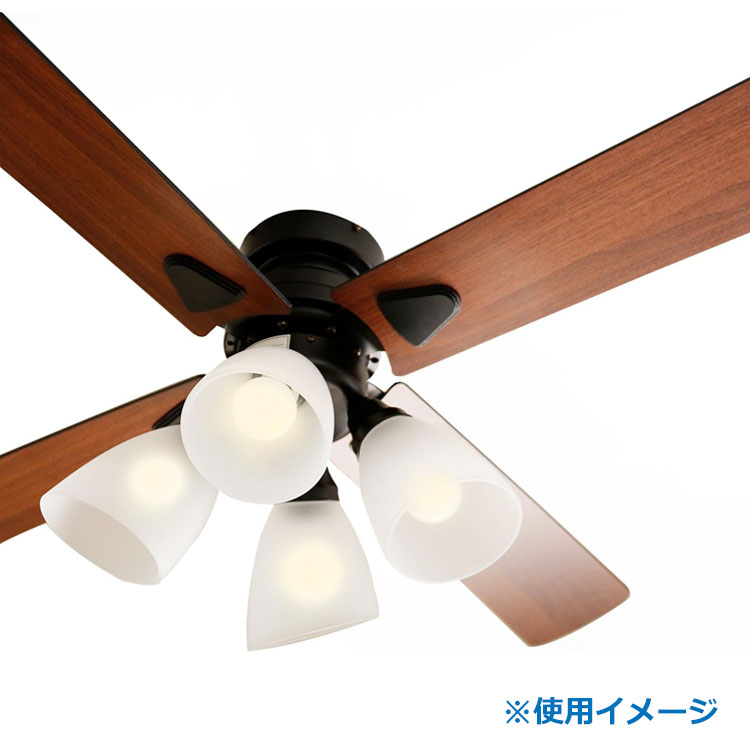 楽天市場】【中古】VEGA CORPORATION(ベガコーポレーション)LOWYA