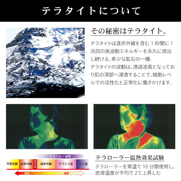 楽天市場】【P10倍 2/24 9:59迄】 テラローラー アイ2 テラタイト