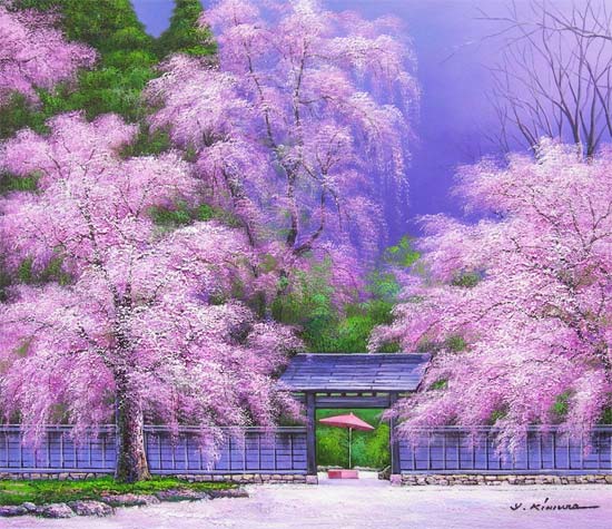 楽天市場】絵画 油絵 角館の桜 F30号 （木村由記夫） 送料無料 【肉筆