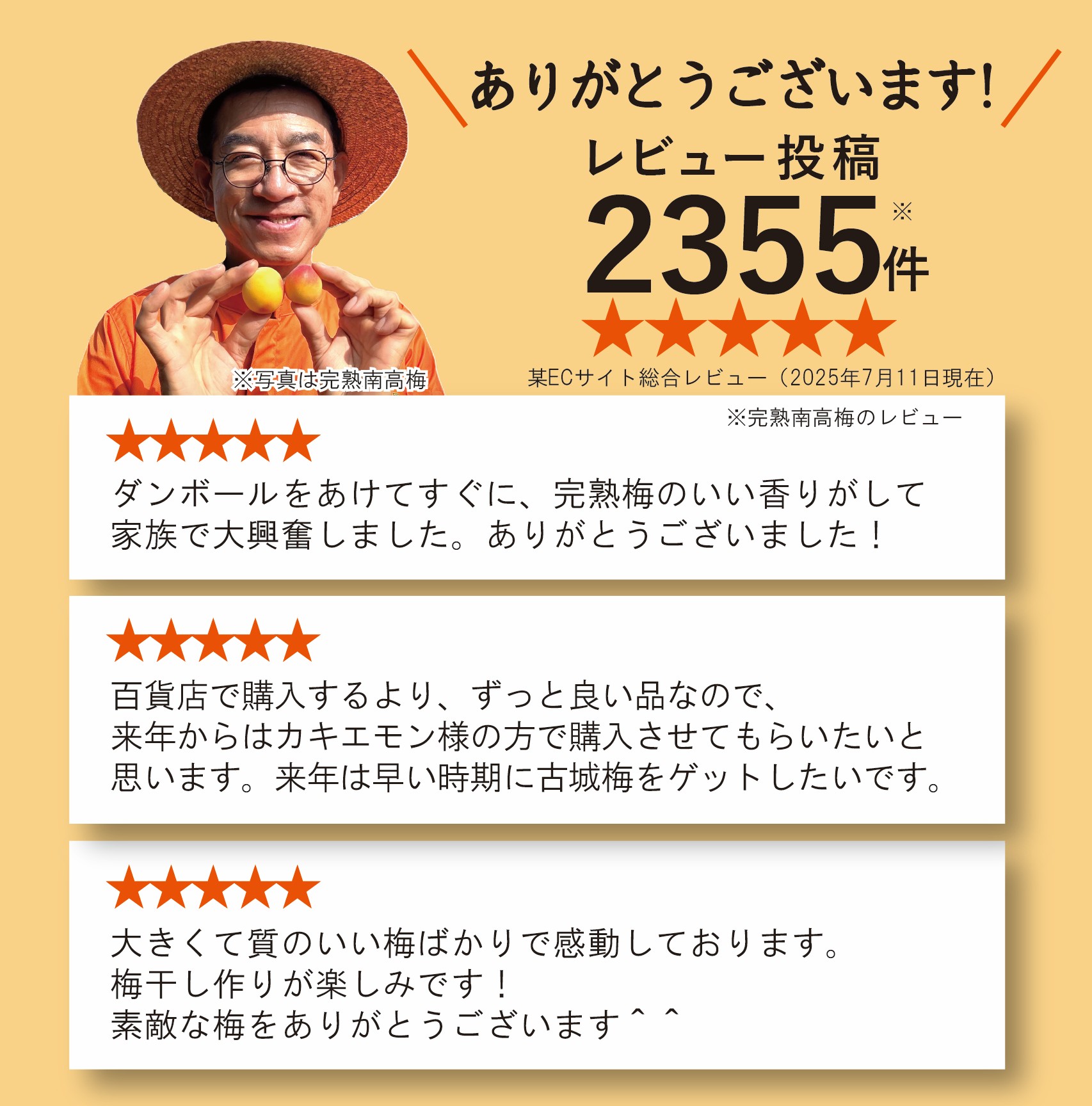 楽天市場】【2026年分◎予約割あり】秀品 完熟 南高梅 3kg 5kg 10kg (+