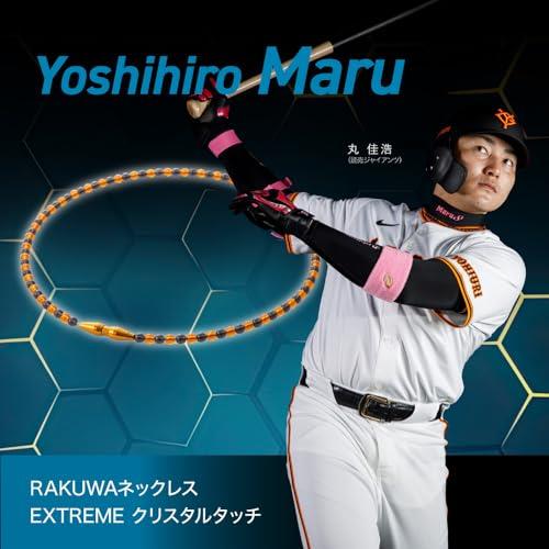 楽天市場】【柳田悠岐選手愛用商品】phiten(ファイテン) ネックレス