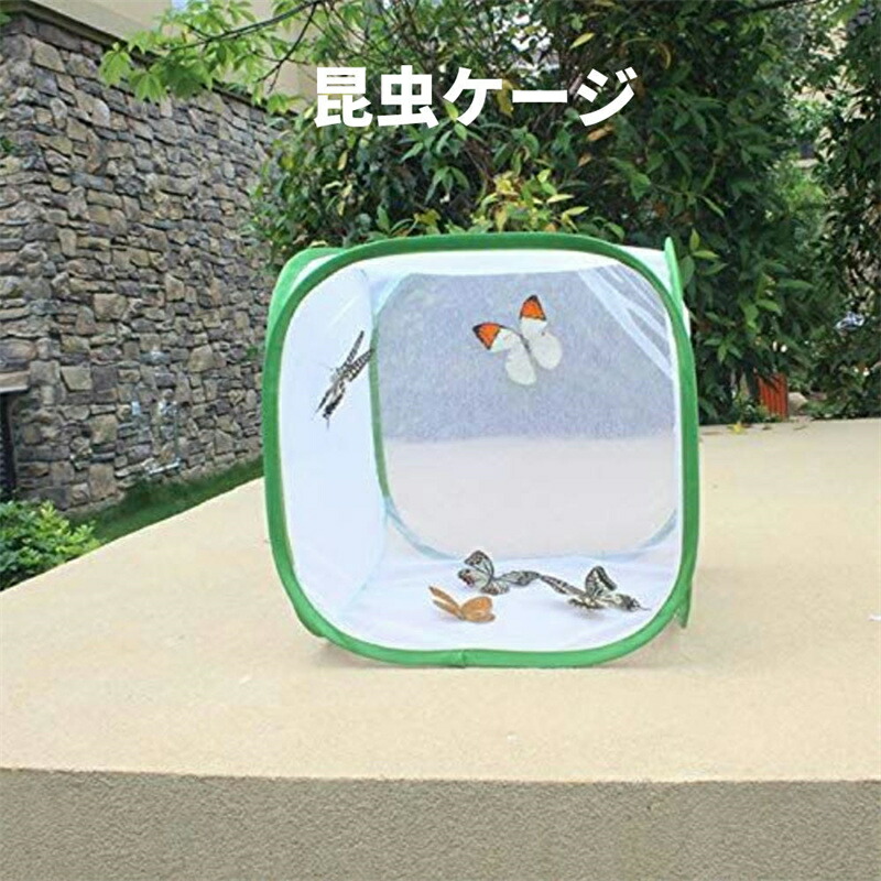楽天市場】昆虫ケージ 飼育ケース ビニール温室 高通気性 携帯便利