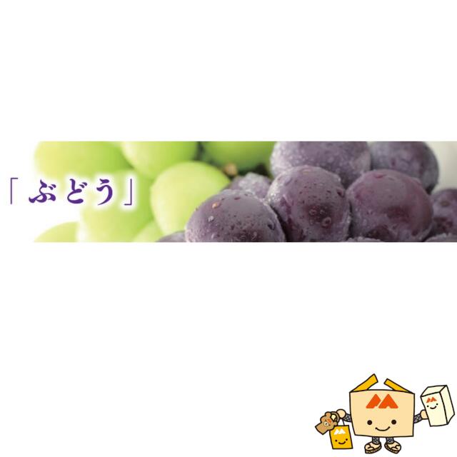 楽天市場】【個人宅不可】フルーツ ぶどう用 粒ぶどう18H 品番L-2512
