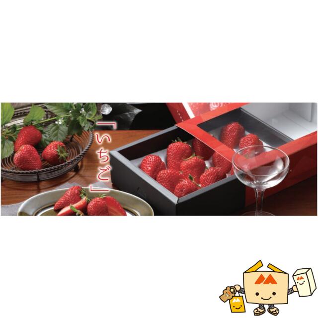 楽天市場】【個人宅不可】フルーツ いちご用 いちご平詰用トレー