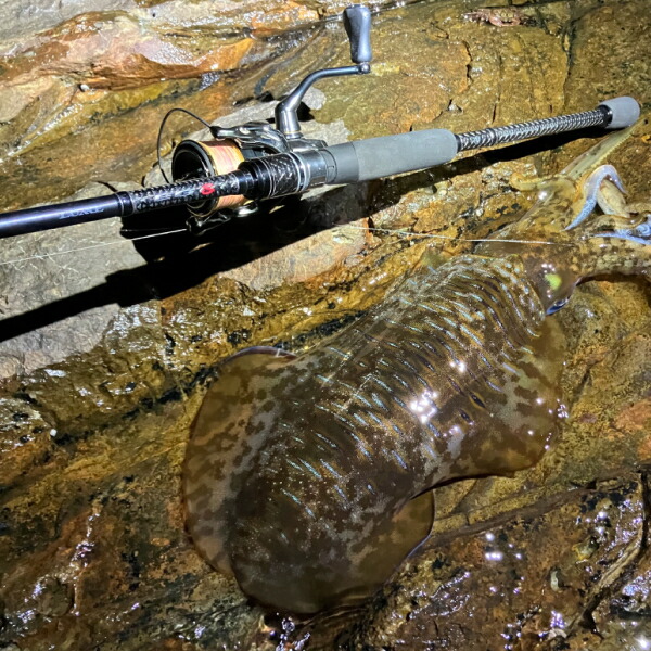 楽天市場】がまかつ [90] ラグゼ EG S S76L 2025年追加機種 : かめや