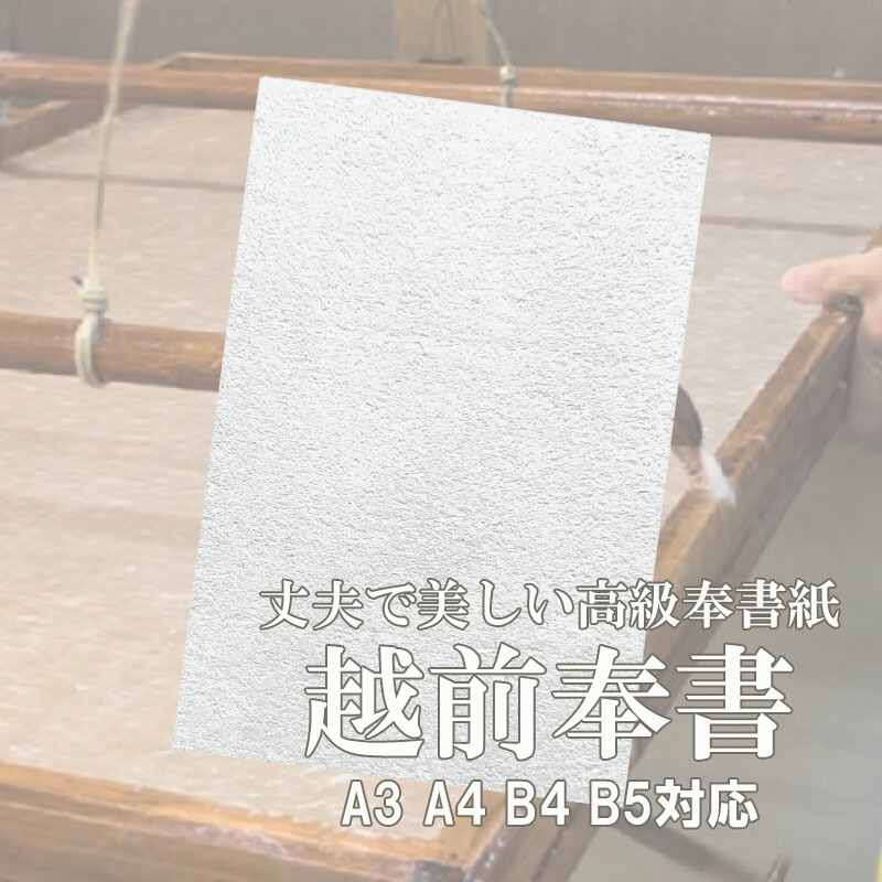 楽天市場】1月最大800円OFFクーポン【和紙】越前奉書(手漉き) (約0.16