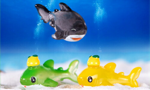 楽天市場】アクアリウム 海の生き物 さめ くじら いるか ワニ かめ