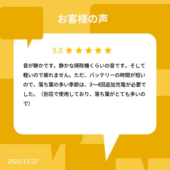 楽天市場】【公式】LBL 2 （ブロア） バッテリーセット : ケルヒャー