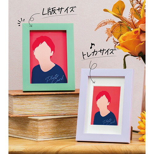 楽天市場】【即配】 トレカフレーム ピンク PS-TC-L-PK ケンコー KENKO