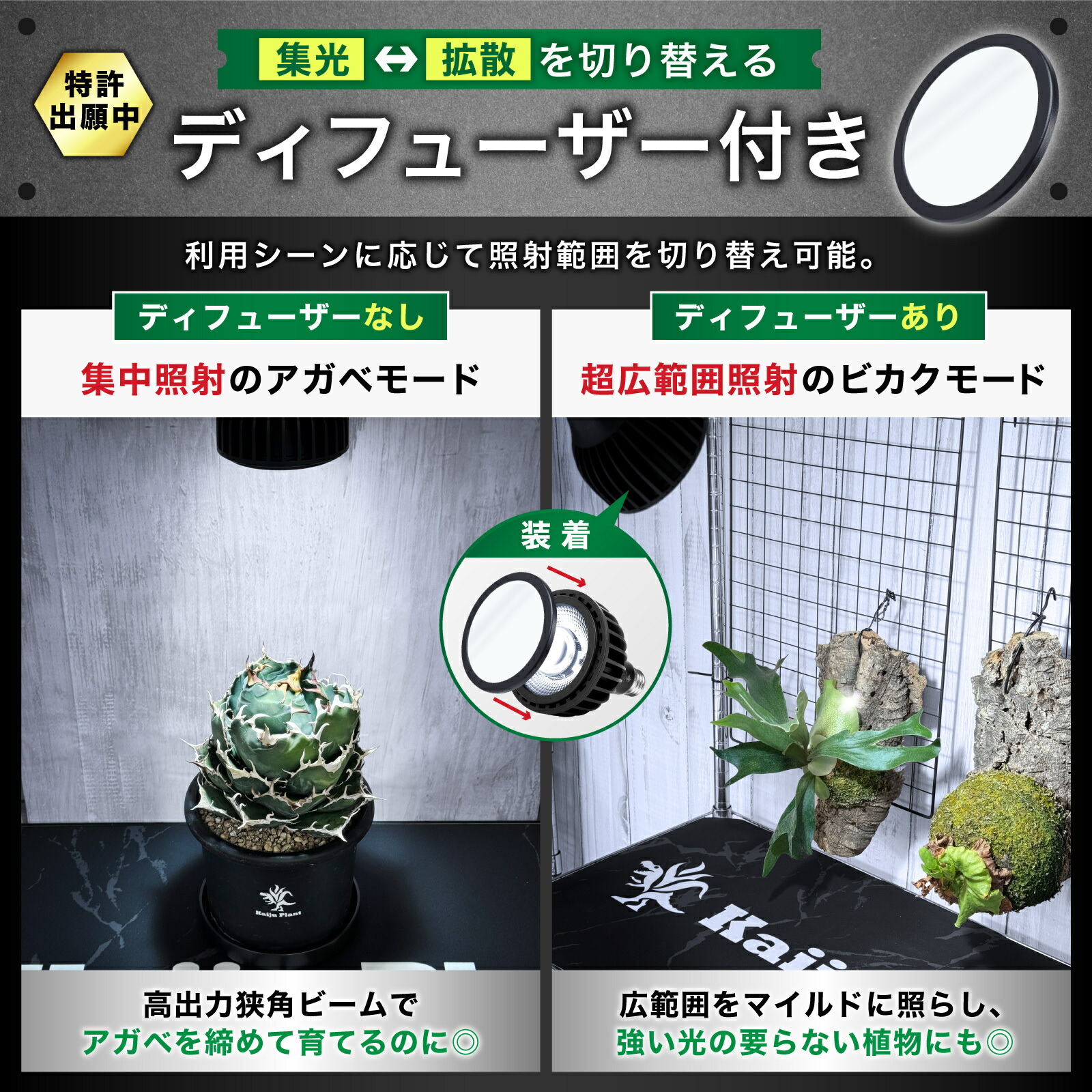 楽天市場】Kaiju Plant 怪獣ビームLOW リフレクター付き ぐんぐん育つ