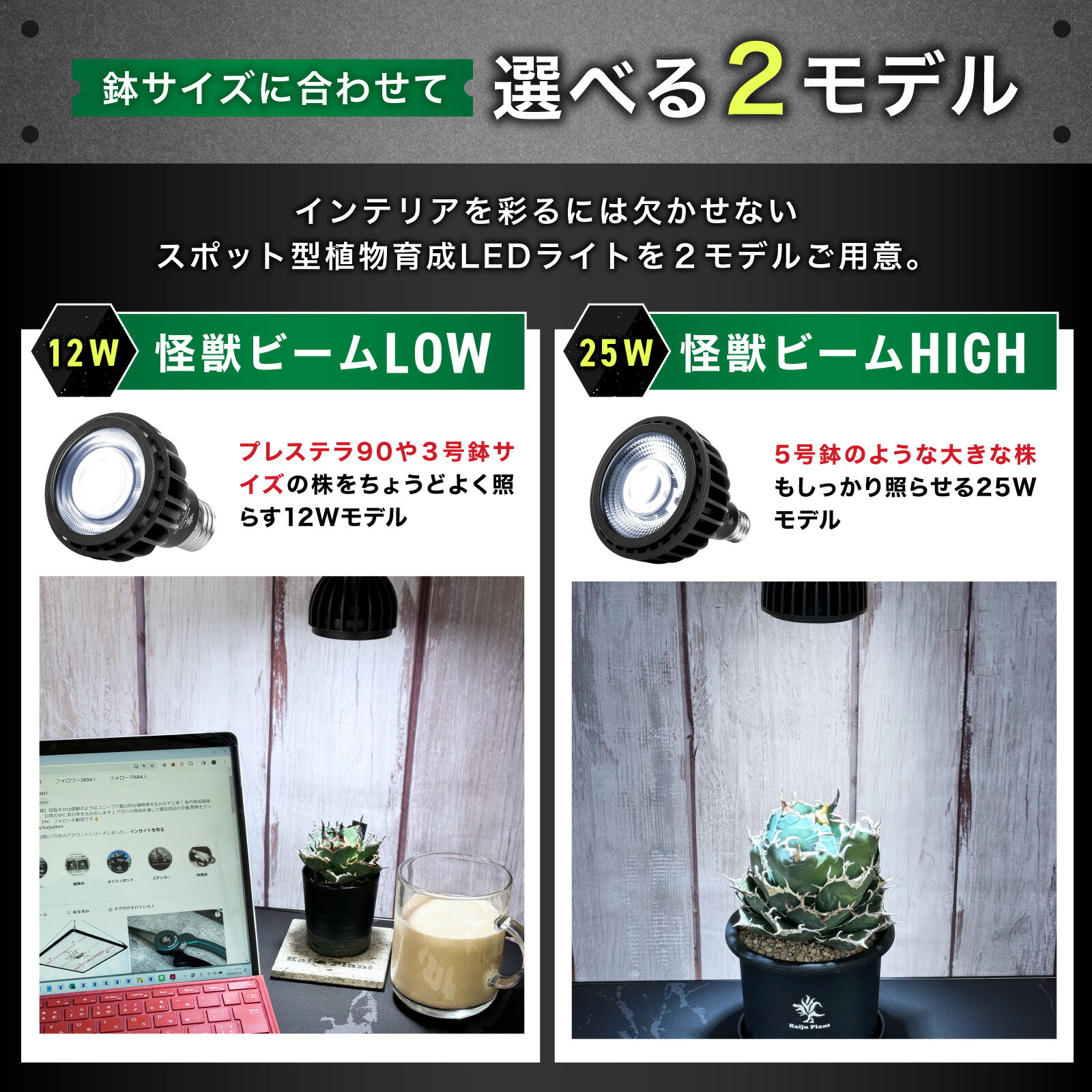 楽天市場】Kaiju Plant 怪獣ビームLOW リフレクター付き ぐんぐん育つ