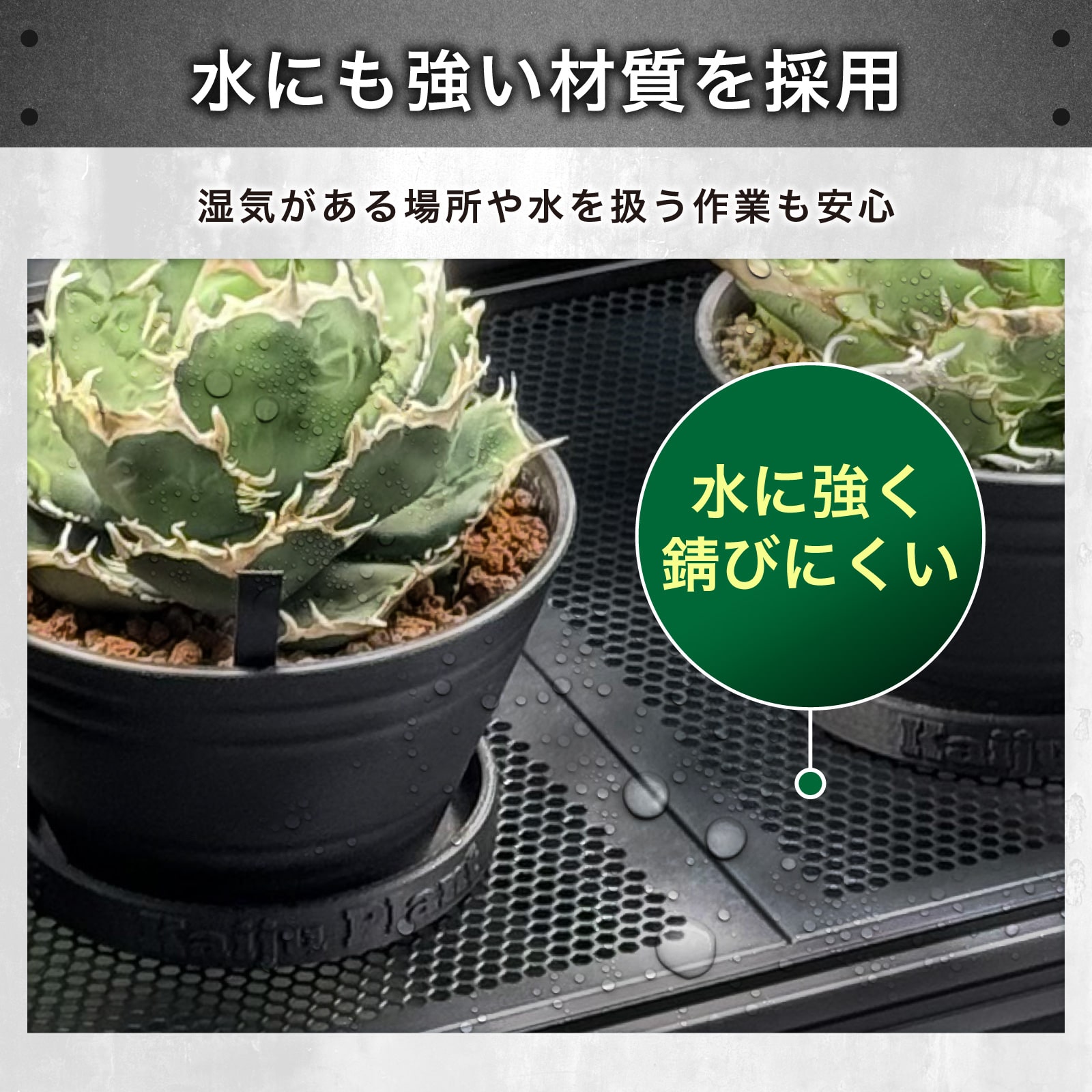 楽天市場】怪獣ラック 組立式 高さ調整可能 植物棚 幅110 奥行50 高さ