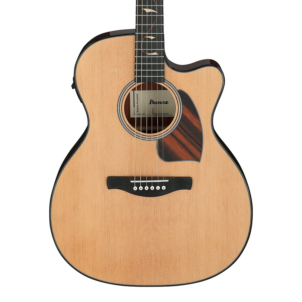 楽天市場】ibanez pc33ce ntの通販
