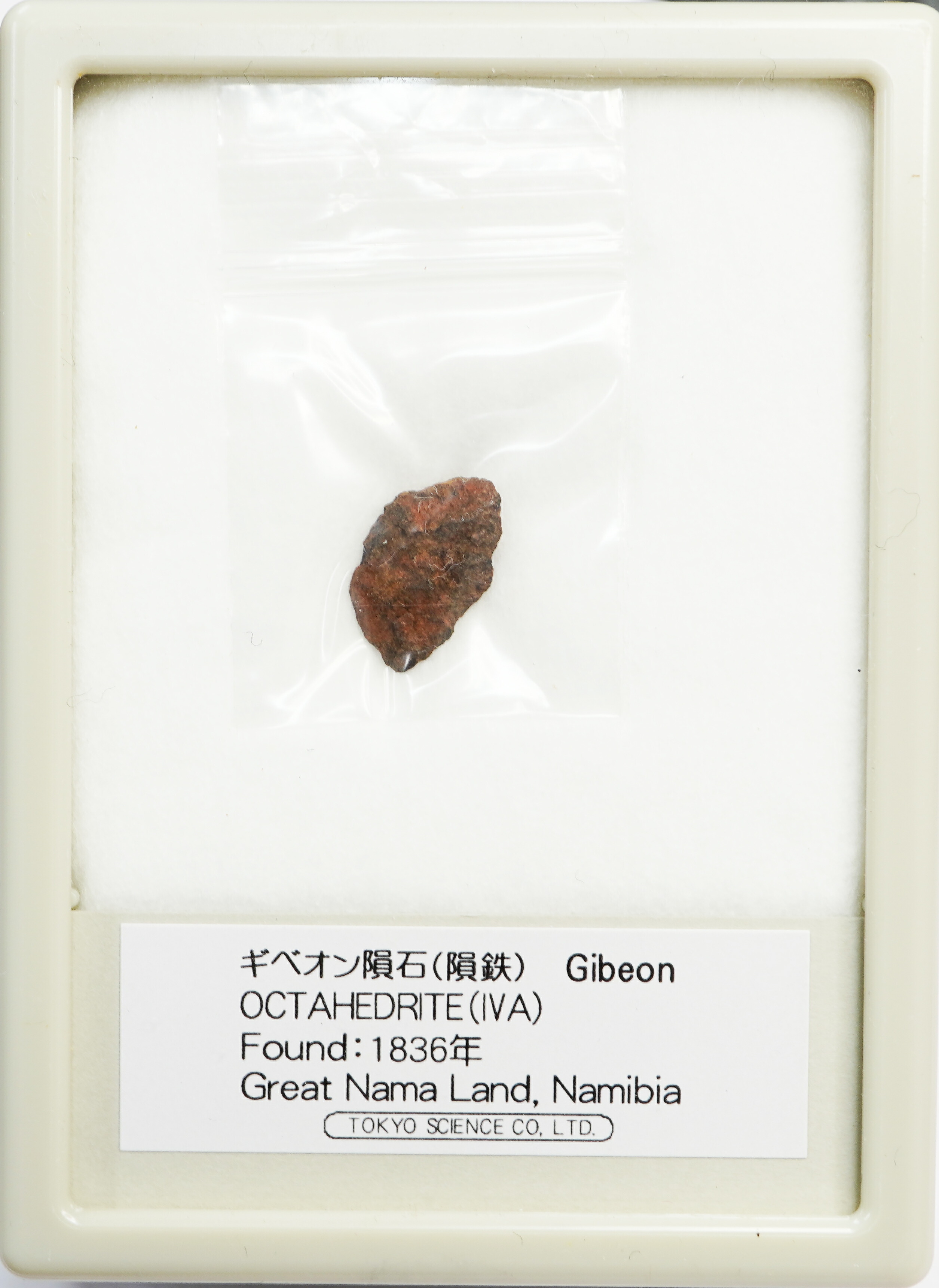 楽天市場】ギベオン隕石 1836年 ナミビア Gibeon OCTAHEDRITE(IVA