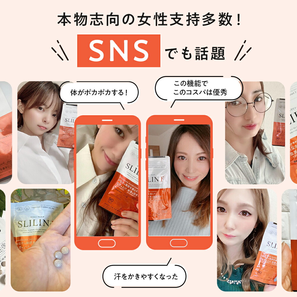 値下げしました】SLILINファイア 90粒×3パック SLILIN F サプリメント