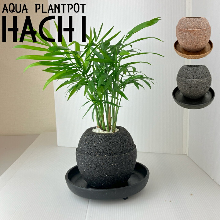 楽天市場】【送料無料】〈AQUA PLANTPOT〉HACHI (玉) ソーサー付