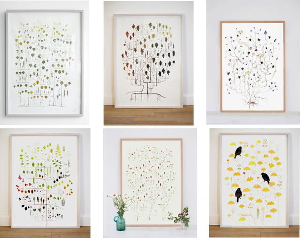 楽天市場】ポスター 北欧 草木の標本 ボタニカル アート SEED TREE