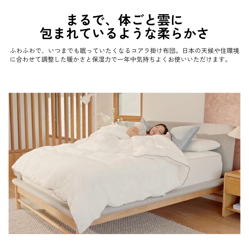 楽天市場】掛け布団 コアラ掛け布団 シングル セミダブル ダブル