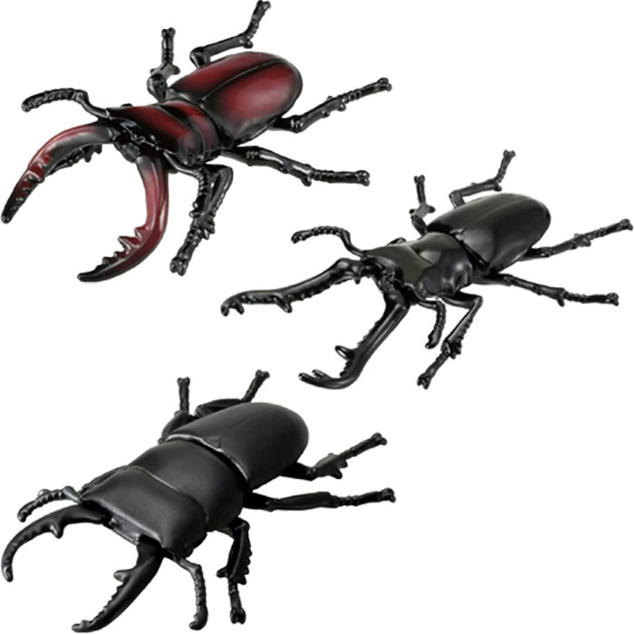 楽天市場】アニア クワガタ3種セット AS-40 ギラファノコギリクワガタ