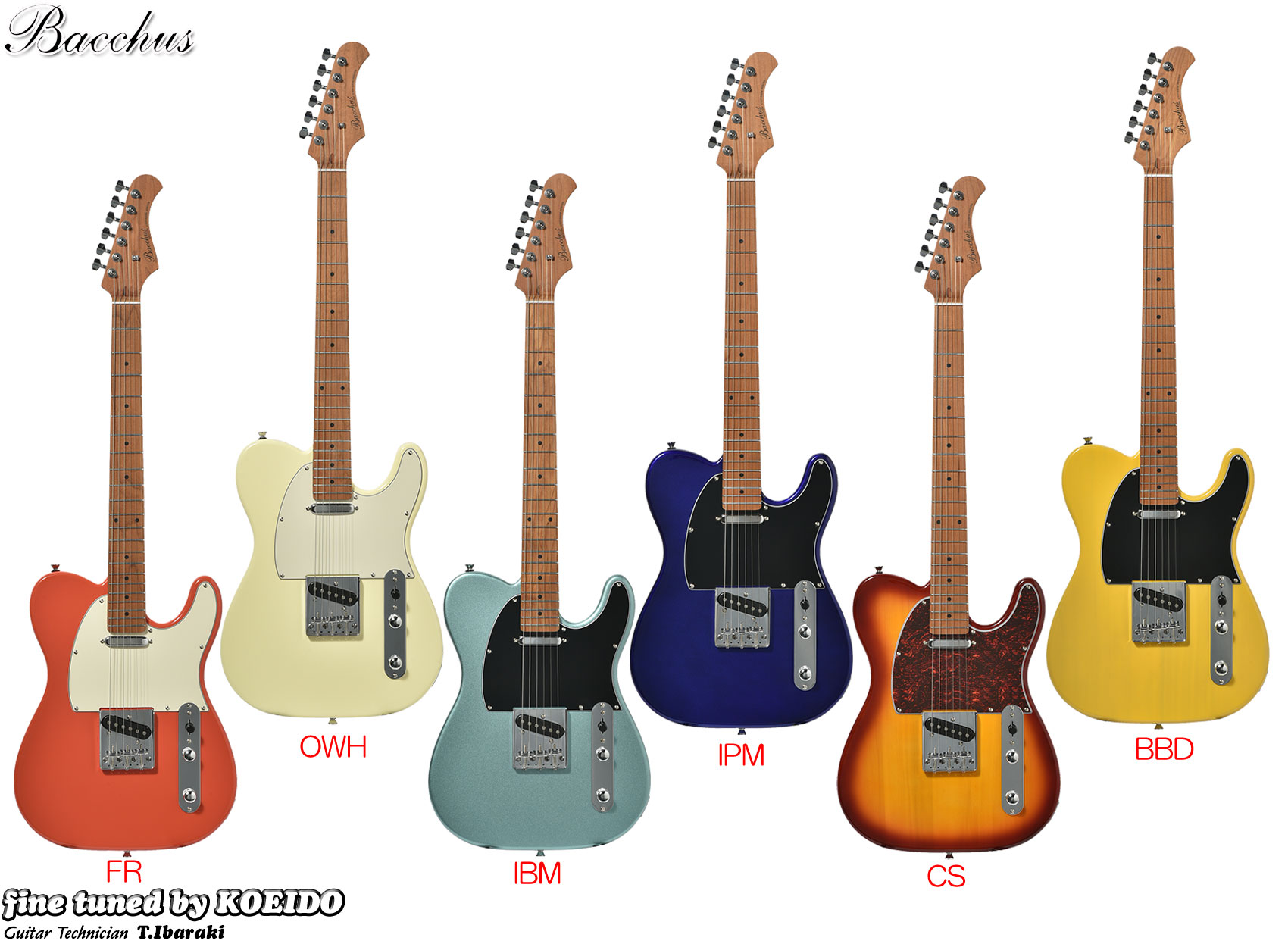 楽天市場】Bacchus BTE-1DX RSM/M【ストラップサービス中！】【送料