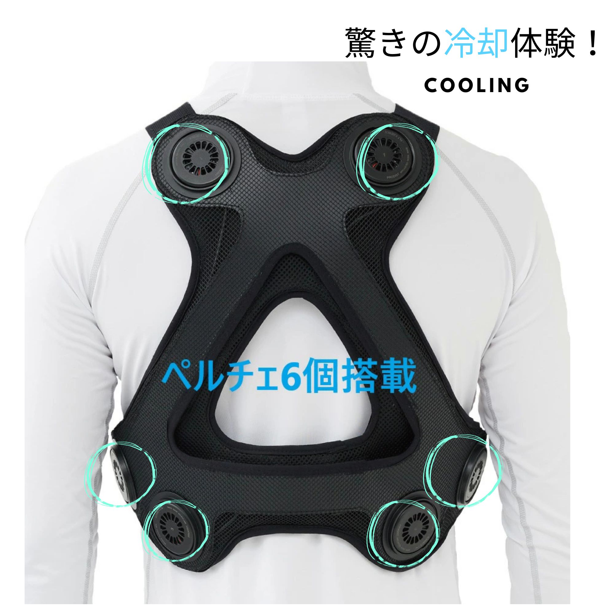 楽天市場】EXFROZEN ベスト プロ（ペルチェデバイス6個搭載