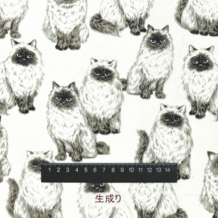 楽天市場】猫 ヒマラヤン オックス 綿100％ 約110cm幅（数量×50cm