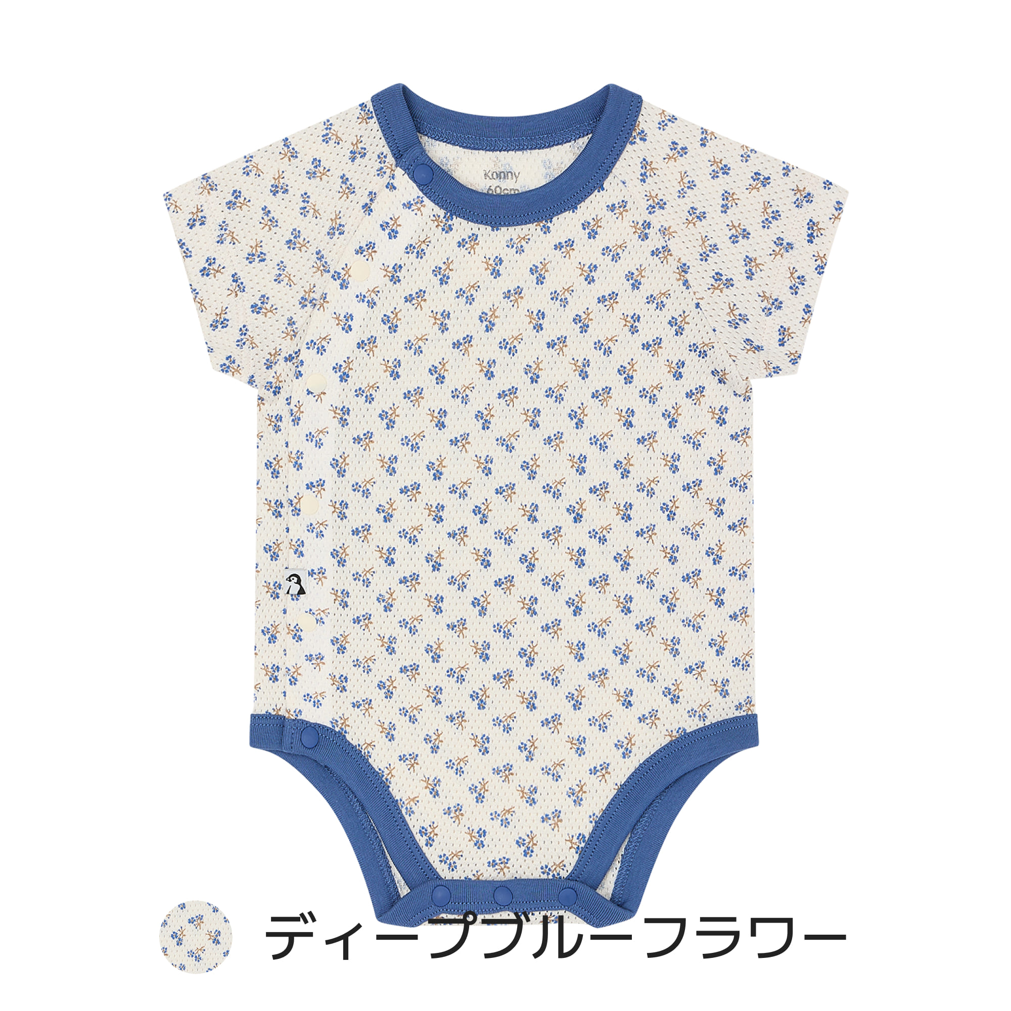 楽天市場】【2点購入10%offクーポン】【2026新色＆新サイズ】コットン