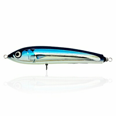 CARPENTER カーペンター BF Blue Fish ブルーフィッシュ ブルー