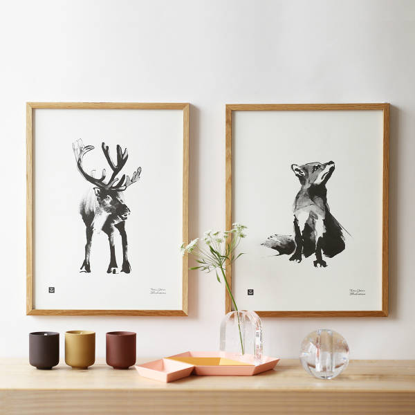 楽天市場】Teemu Jarvi (テーム・ヤルヴィ) ポスター FOX (アカギツネ