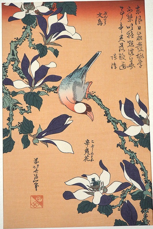 楽天市場】「文鳥と辛夷花」 葛飾北斎 0002-2傳統芸術純木版手摺 版画