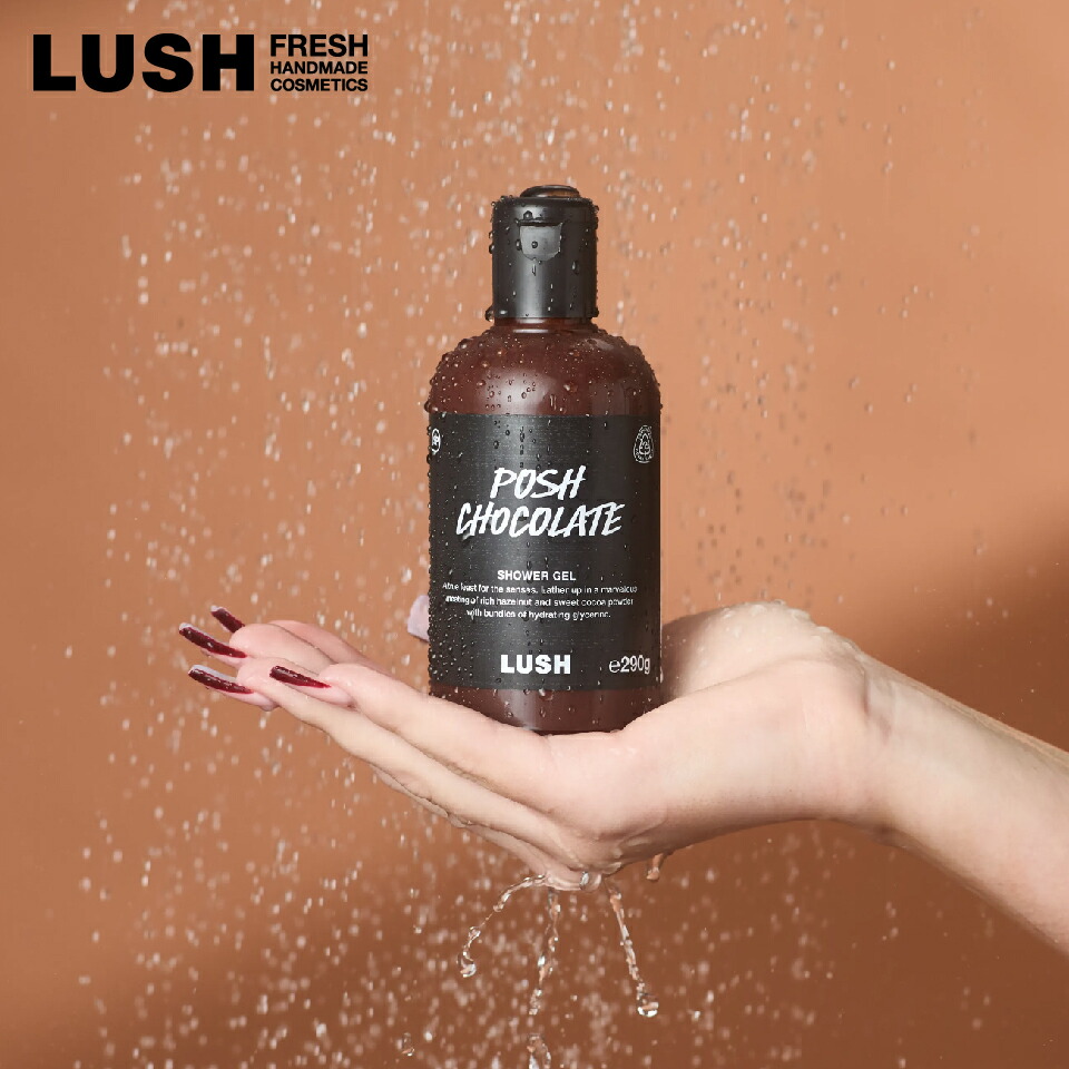 楽天市場】LUSH ポッシュチョコレート シャワージェル 石鹸 石けん