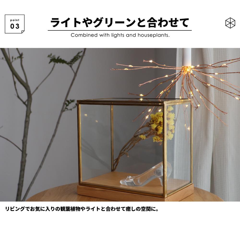 楽天市場】レビュー特典あり ディスプレイケース 真鍮 ガラス