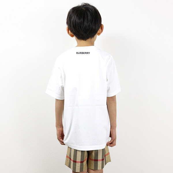 楽天市場】BURBERRY バーバリー Vintage Check Panel Cotton T-shirt T