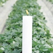 楽天市場】メーカー欠品中 次回4月中旬入荷予定です カメヤマローソク