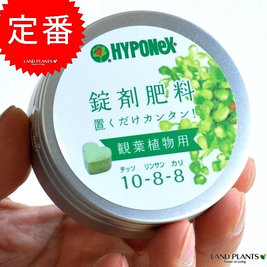 楽天市場】HYPONeX コーヒーノキ の肥料 観葉植物用 鉢の上に置くだけ