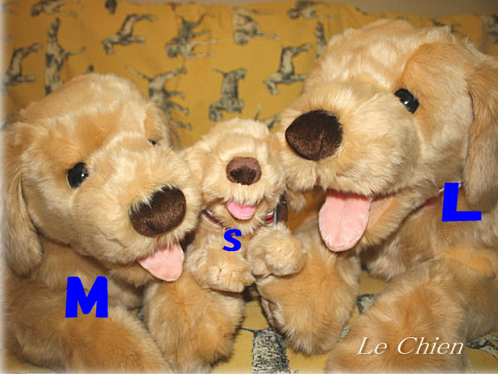 楽天市場】ゴールデン レトリバー グッズ ゴールデンレトリバー いぬ